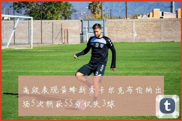 高效表现黄蜂新秀卡尔克布伦纳出场5次斩获55分仅失3球